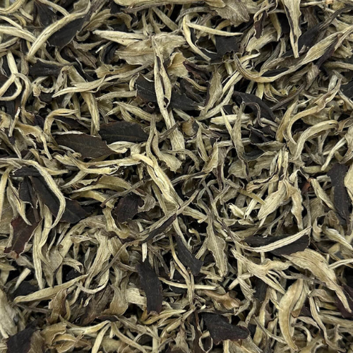 chinese-white-tea-11