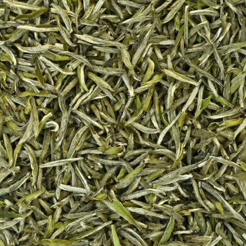 chinese-white-tea-9