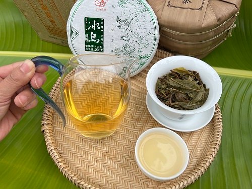 travelogue-of-visit-to-mengku-iceland-yunnan-province-china-the-origin-of-puerh-tea-18