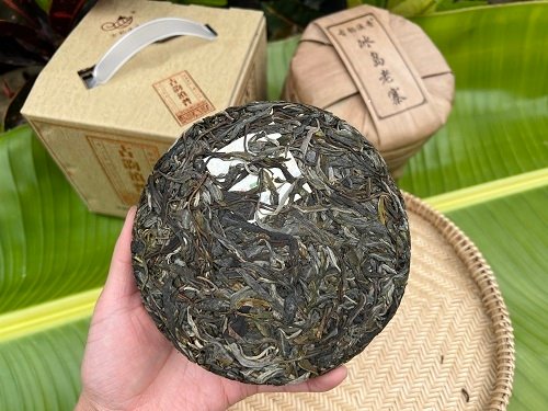 travelogue-of-visit-to-mengku-iceland-yunnan-province-china-the-origin-of-puerh-tea-48